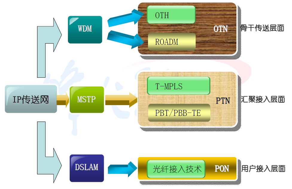 IP.jpg